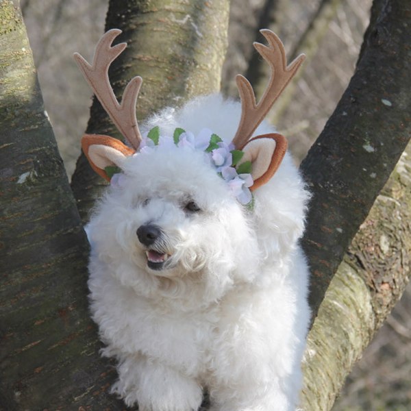 Julehjorte Hovedbøjle til Kæledyr, Blomsterdekoration, Xianqisen, Hovedbeklædning til Fest og Festival, Kompatibel med Kat og Hund