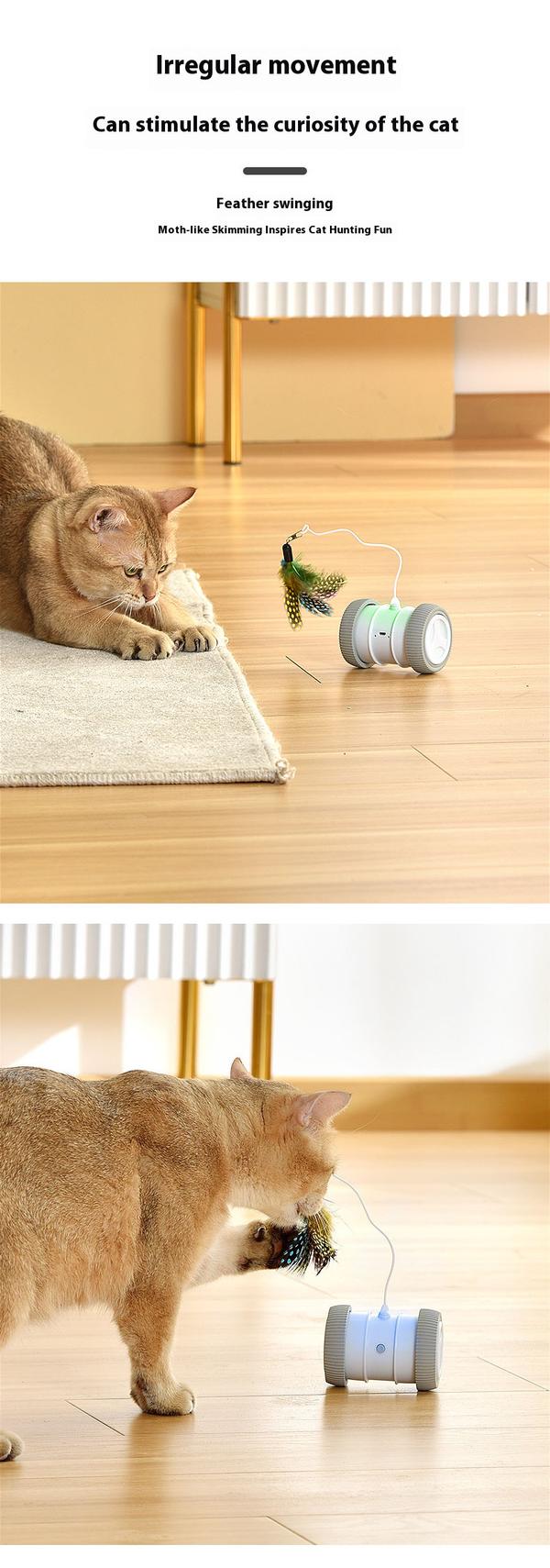 Electric Cat Toy - Phoesky - Rechargeable - Rolling Wheel with Lights - Interactive Training