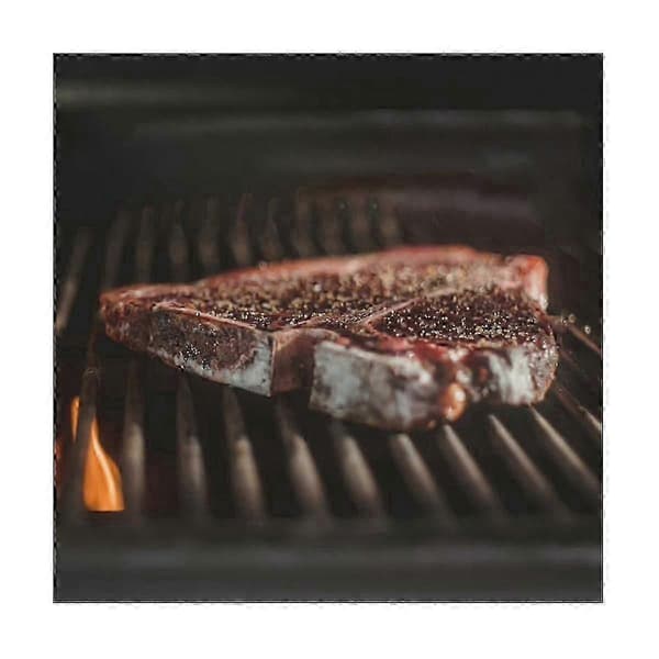 Ersättningsköttprob 2-pack för termometrar TP20 TP17 TP16 TP08S TP07 TP06 med 2 BBQ-probhållare