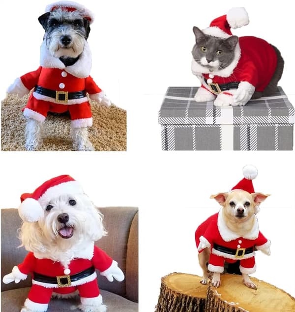 Julekostume til hunde, julemandskostume med kappe