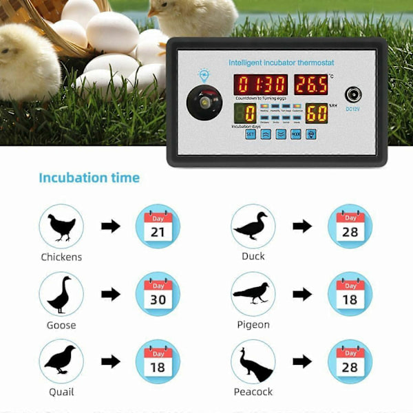 Automatisk Æggevending Kontrol Inkubator Digital Termostat Realtids Fugtighed Temperatur 220V