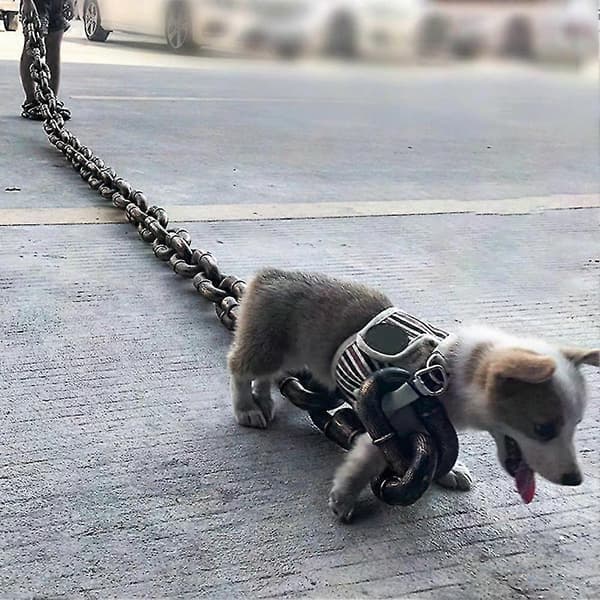 Multifunktionel hundesnor med jernkæde til trækkraft, tykke rebsele tilbehør til hunde Bronze Medium 3 M