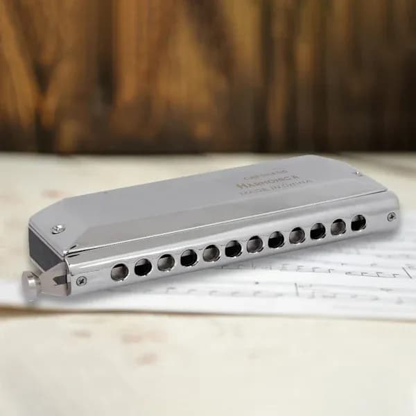 Chromatic Harmonica Professional Harmonica for Beginners and Professional Players (12 Holes)