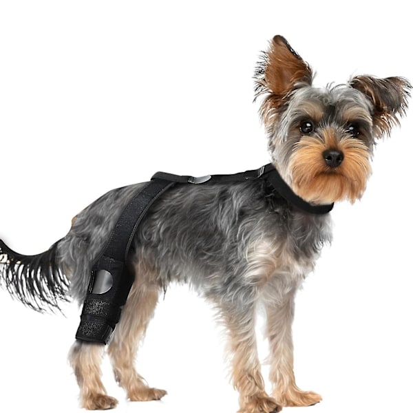 Premium Hund ACL Knäskydd, Hund Knäskydd Kompatibelt med Trasig ACL Bakben, Hund ACL Skydd Bakben S