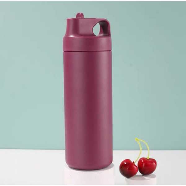 Termosflaska i rostfritt stål 510ml vatten kaffe te Beige