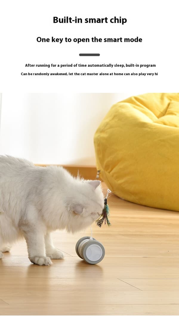 Electric Cat Toy - Phoesky - Rechargeable - Rolling Wheel with Lights - Interactive Training