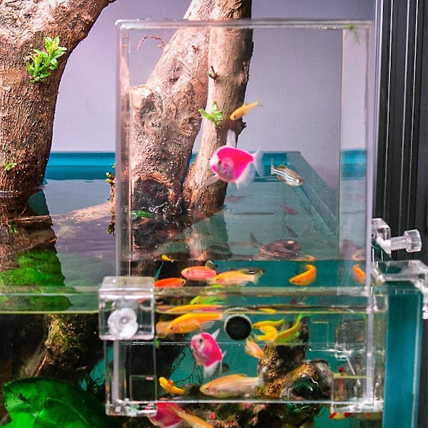 Over Vand Fisketank, Fiskeelevator Inverteret Akvarium, Transparent Fisk As shown
