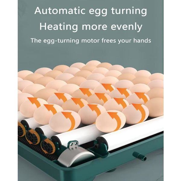 Automatic incubator, can incubate 12 to 15 eggs, with efficient LED lighting, automatic egg turning and humidity control.