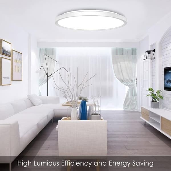 Dimmable LED Ceiling Light - with Remote Control, Ceiling Lamp, Living Room Lamp, Flat Round, Interior, 1 pc, 29×29×3 cm