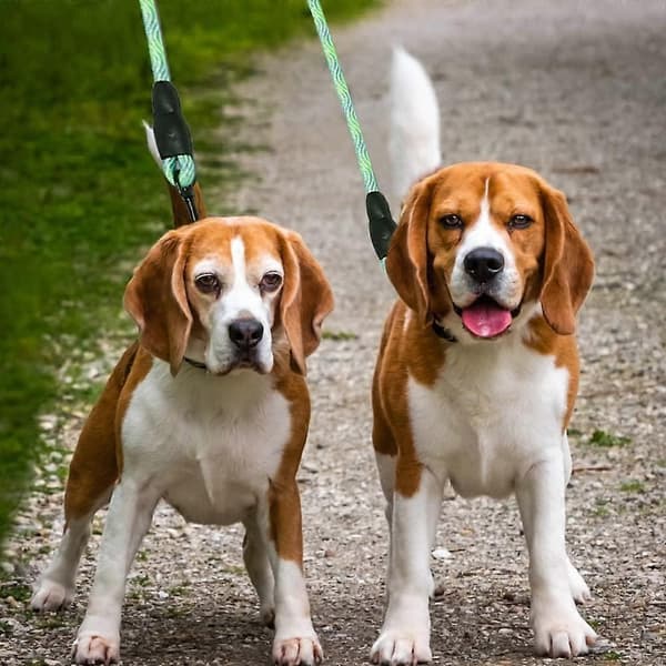Dubbelt hundkoppel, avtagbart dubbelt hundkoppel