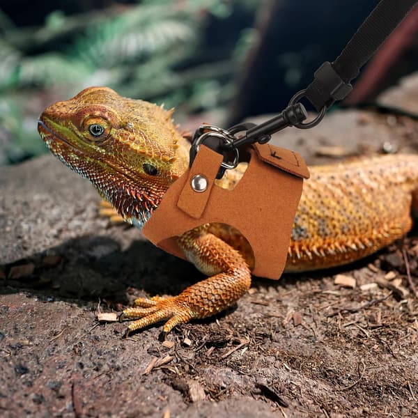 Bearded Dragon Harness Leash Set Lizard Harness, Lizard Reptile Walking Leash for Bearded Dragon Reptiles (Brown)