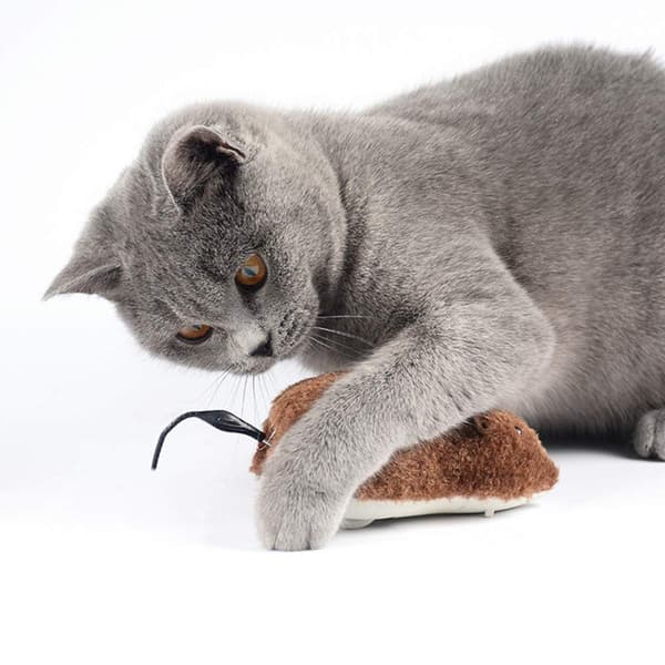 1st Electronic Fun Cat Toy, Automatic Robotic Mouse Toy, Cat Toys for Cat Training 1