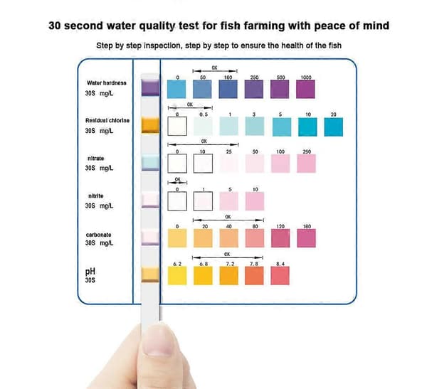 Pool Vand Teststrips 6-i-1 til Klor, pH og Alkalinitet - 50 stk