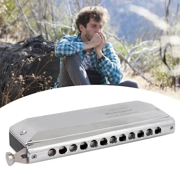 Chromatic Harmonica Professional Harmonica for Beginners and Professional Players (12 Holes)