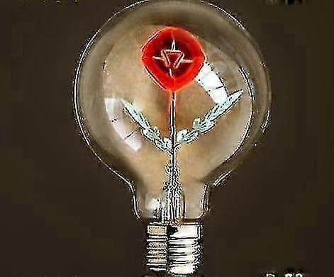 Vintage Edison Pære Rose