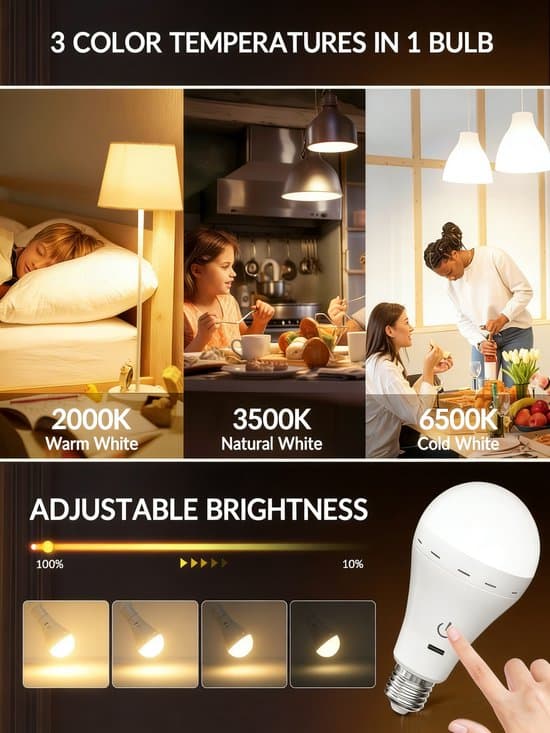 2 pcs Rechargeable E27 LED Bulbs LED Lighting 3 Color Temperatures - with Remote Control / Rechargeable / Timer Function Wireless Emergency Lighting