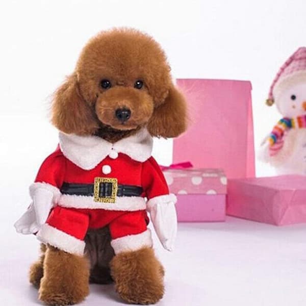 Julekostume til hunde, julemandskostume med kappe