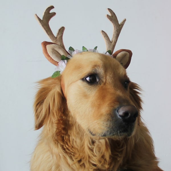 Julehjorte Hovedbøjle til Kæledyr, Blomsterdekoration, Xianqisen, Hovedbeklædning til Fest og Festival, Kompatibel med Kat og Hund