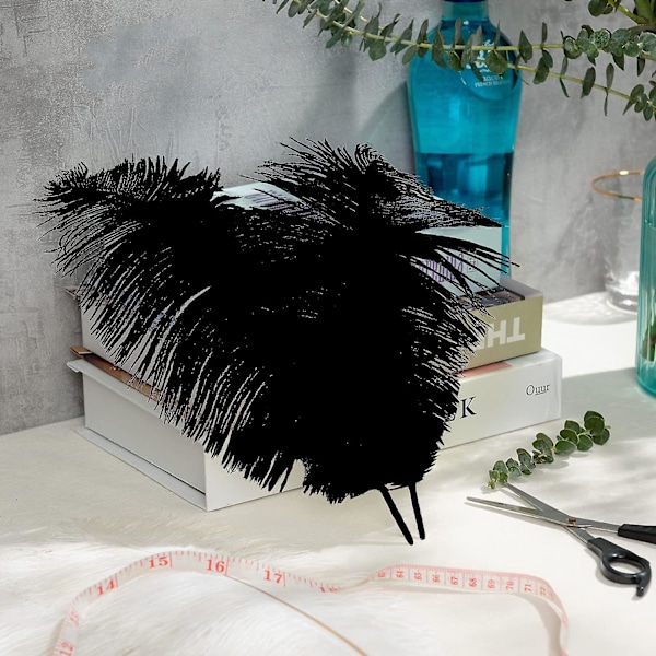 24 stk. Naturlige Sorte Strudsefjer 20-25 cm Bulk til DIY Halloween Dekorationer, Bryllupsfest Bordpynt, Gatsby Dekorationer