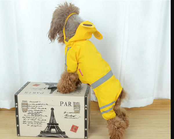Reflective Raincoat Dog Raincoat for Small and Medium Dogs