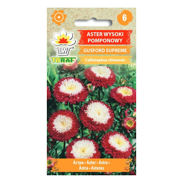 Frö till aster Gusford Supreme – Flerfärgade pomponblommor för