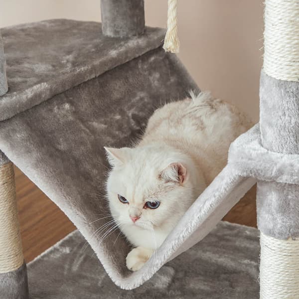 Tukeva ja korkea raapimispuu kissoille – 206 cm, 5 tasoa, sisal