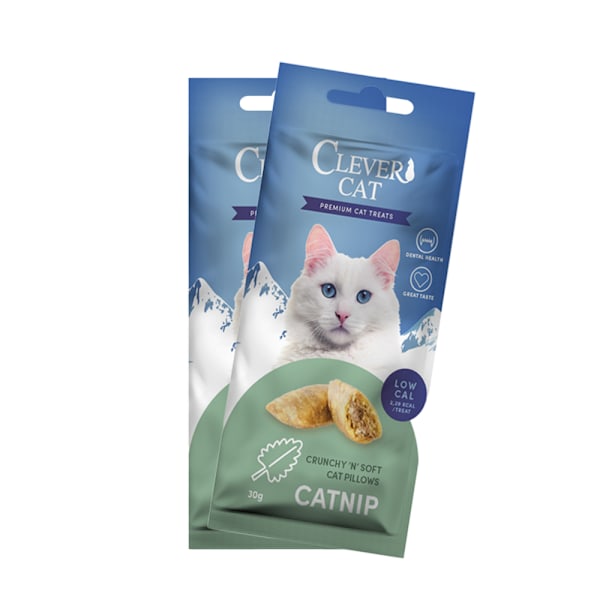 Kattgodis med kattmynta - Treateaters Cat Pillows 30 g