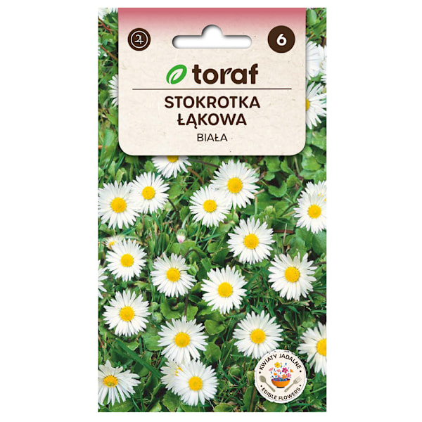 Frö till tusensköna – Charmig vårblomma för rabatter och gräsma