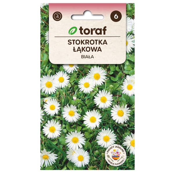 Margueritfrø - Charmerende forårsblomst til blomsterbede og græ