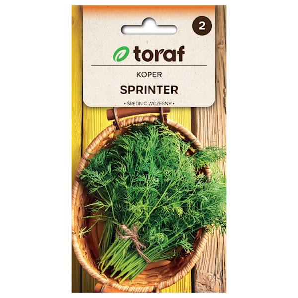 Frö till dill Sprinter – Kraftigväxande med lång skördeperiod
