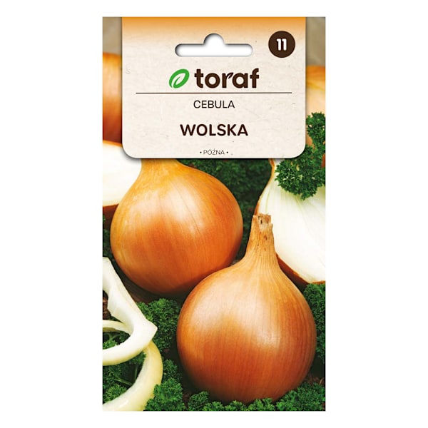 Frö till gul lök Wolska – Sen sort med hög avkastning