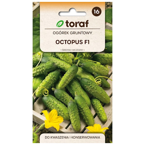 Agurkefrø Octopus F1 - Medium og højtydende til syltning