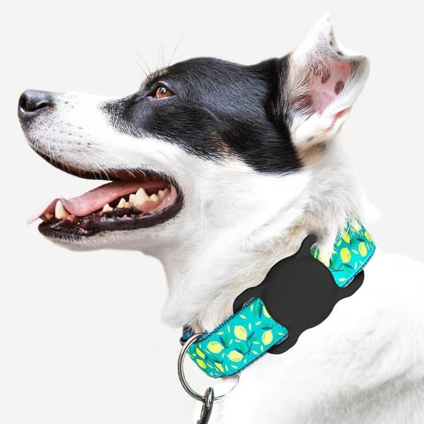 AirTag silikone-hundehalsbåndholder