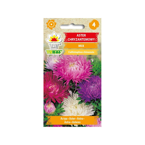 Aster Krysanteemi Mix