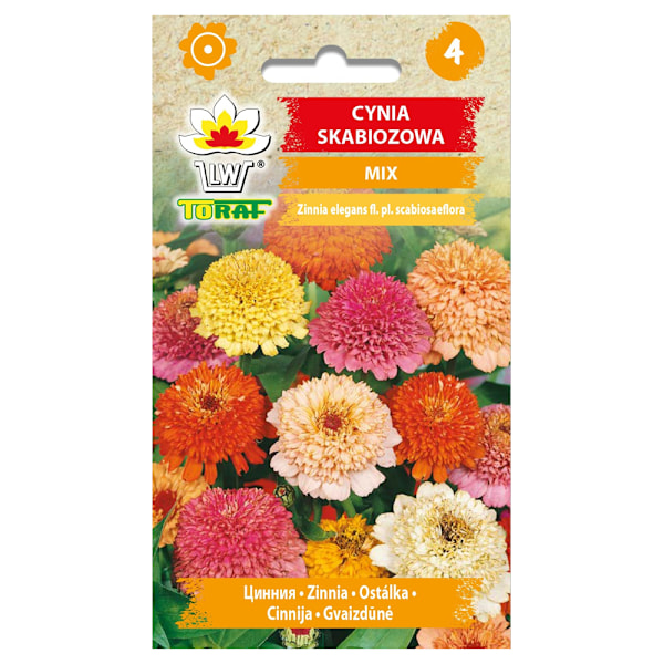 Frö till dahlia-zinnia mix – Färgstarka, stora blommor för raba