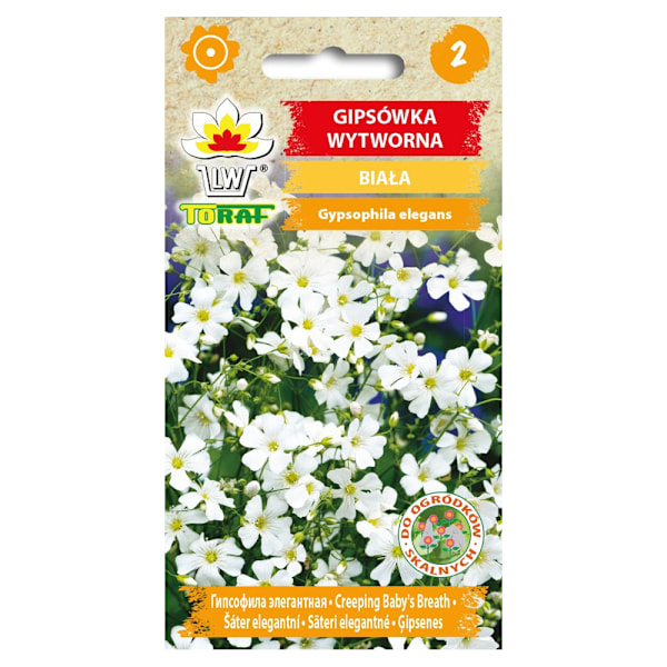 Frö till vit sommarslöja – Lätt och luftig blomning för rabatte