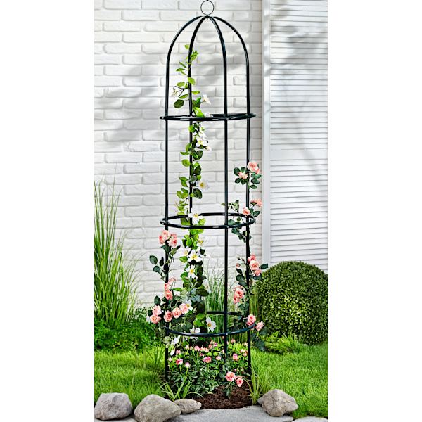 Plantestøtte obelisk - 185 cm højt espalier / Rosensøjle