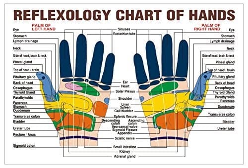 Handmassageringar 20-pack – fjäderbaserad fingermassage för avs