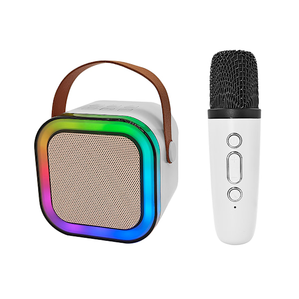 Karaoke-högtalare med LED-ljus och trådlös mikrofon