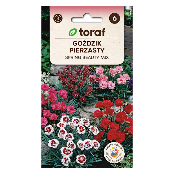 Frö till fjädernejlika Spring Beauty Mix – Doftande och långblo