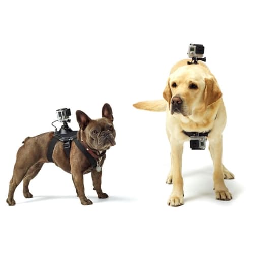 Hundebrystsele med kamerafæste til GoPro HERO