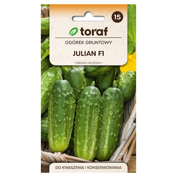 Kurkun siemen Julian F1 - keskiaikainen ja täydellinen suolakur