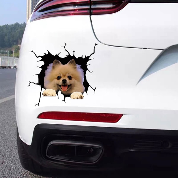 Autotarra - Koira, jolla on kieli ulkona