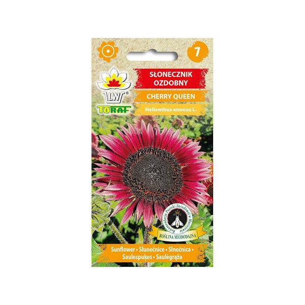 Auringonkukka Cherry Queen
