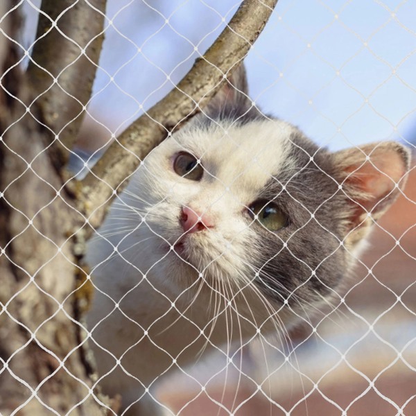 Skyddsnät för katt