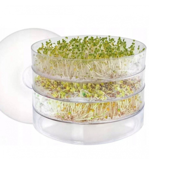 Toraf groddboxar 3-pack / groddbox / stapelbar odlingslåda / gr