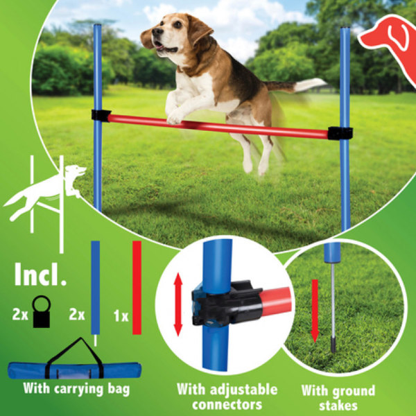 Agility hyppyeste ja kantopussit