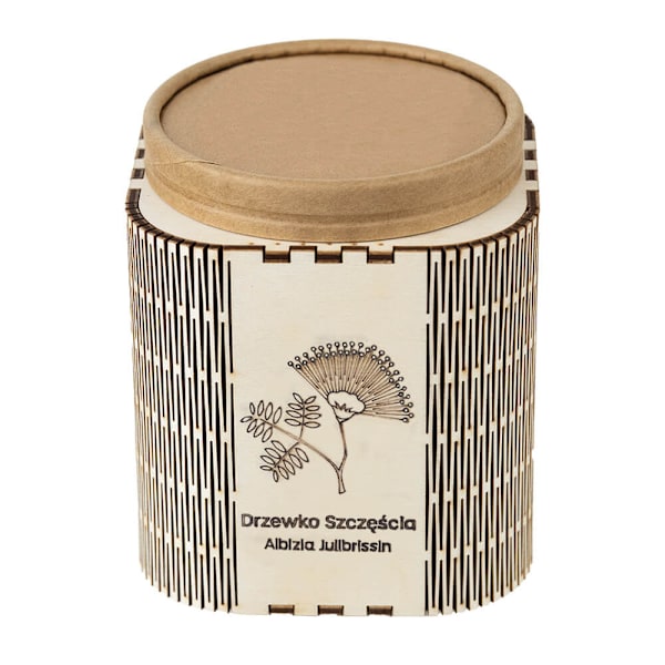 Silkkipuun siemenistö ja kasvatusastia - Kaunis "onnenpuu"