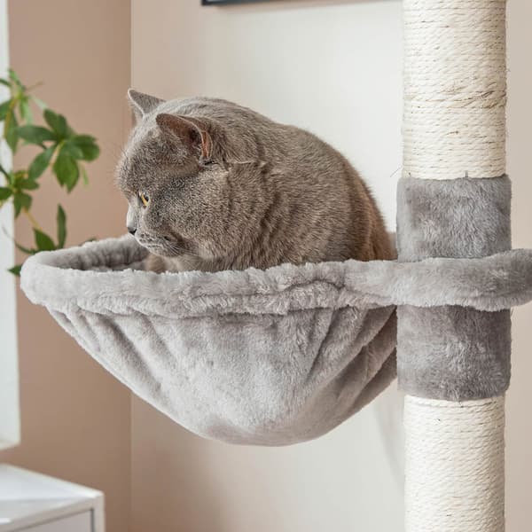 Tukeva ja korkea raapimispuu kissoille – 206 cm, 5 tasoa, sisal