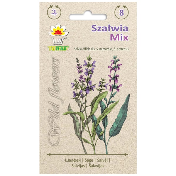 Salvia Mix siemenet - värikäs monivuotinen kasvi, jolla on lääk